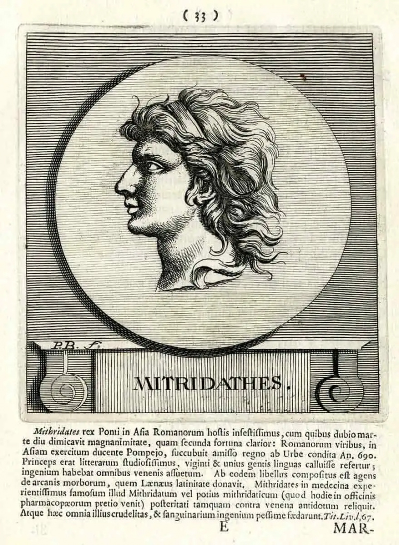 mithradates bodart spoor britisk museum
