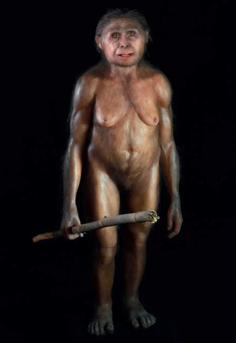   homo floresiensis flo figūra