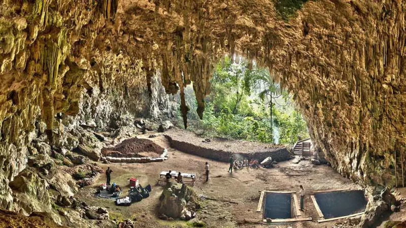   homo floresiensis ala