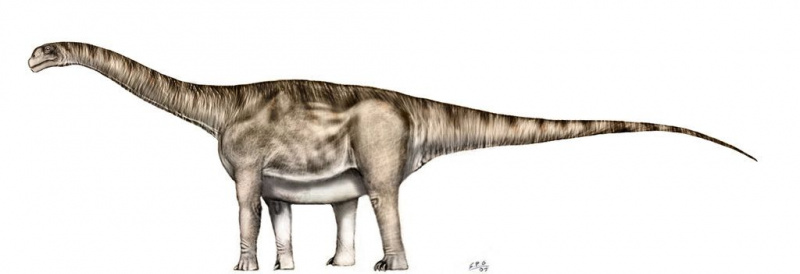 aragozaur