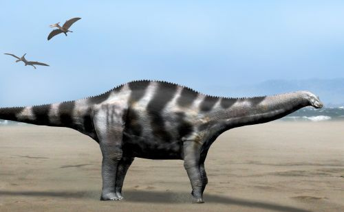 popytazaur
