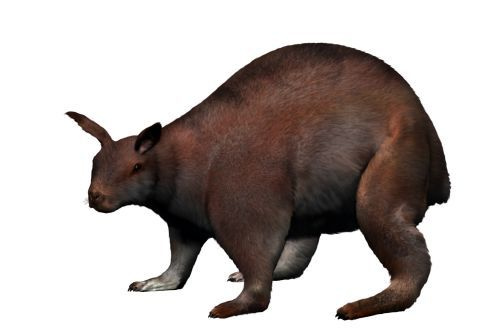 nuragus