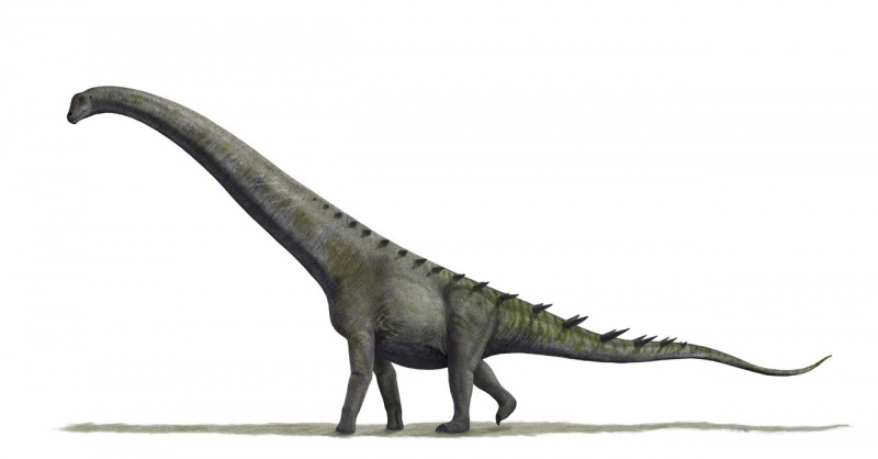 Futalognkosaurus