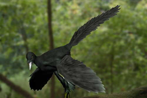 archéoptéryx