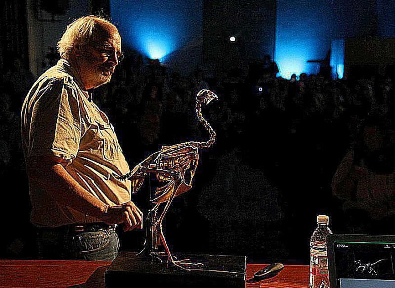 Jack Horner