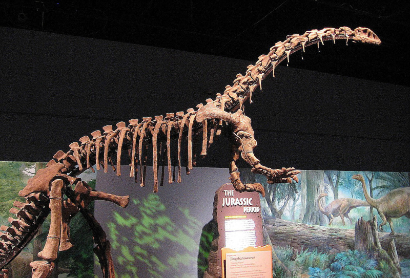 jingshanosaurus