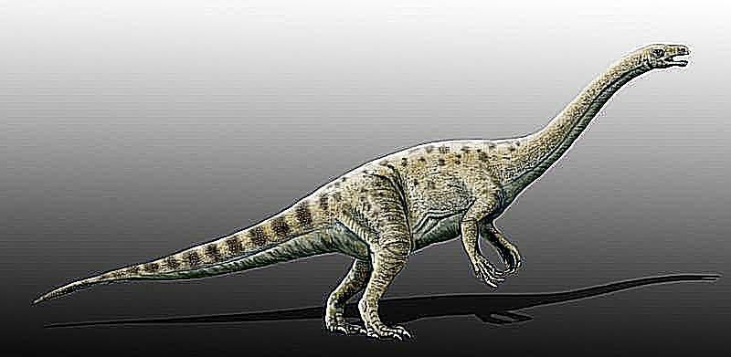adeopapposaurio