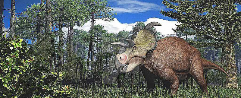 albertaceratops