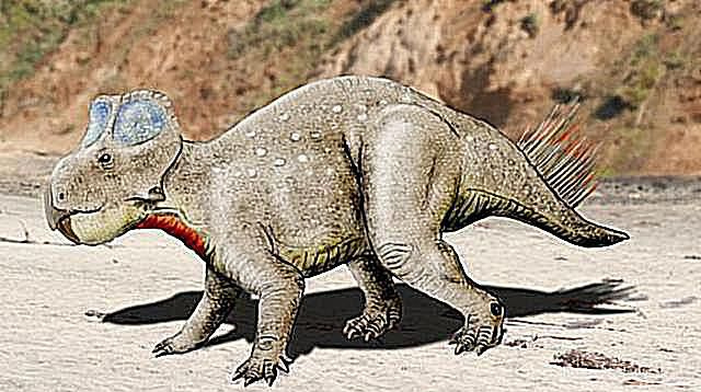 zhuchengceratops