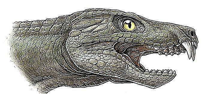 notosuchus