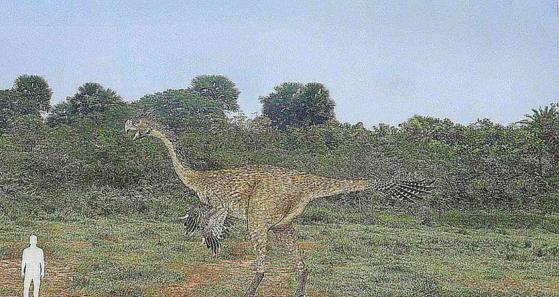 gigante rapace