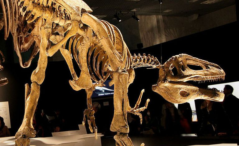megaraptor