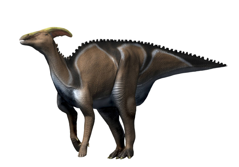 Caronossauro