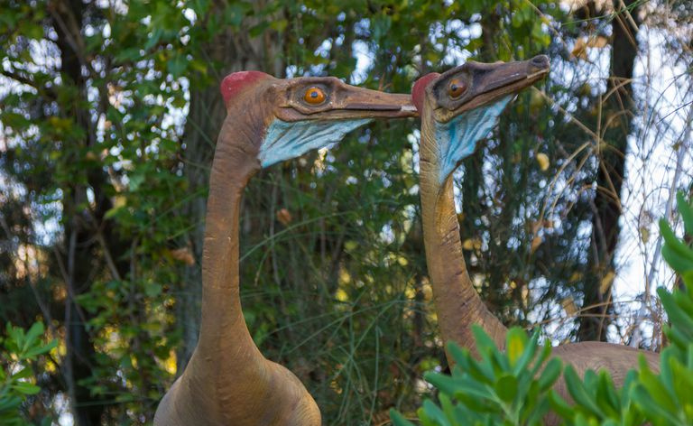 kolorowy dinozaur Ornithomimus Velox