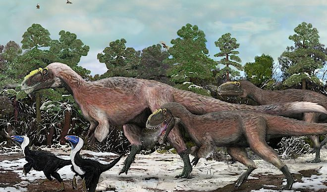 yutyrannus