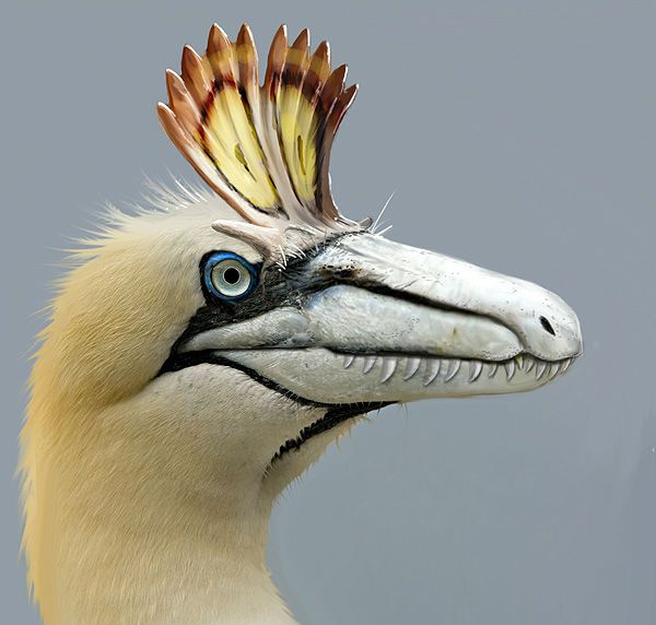 criolofosauro