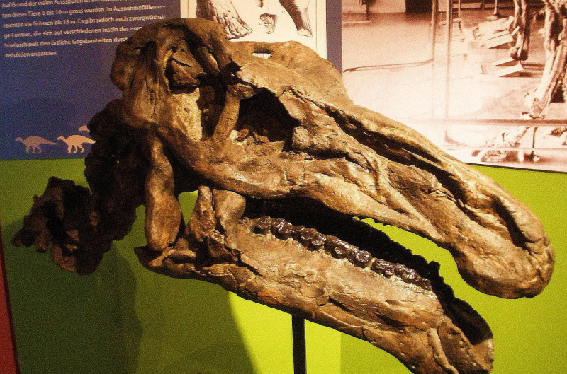 iguanodon