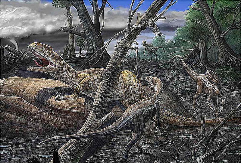nevenator