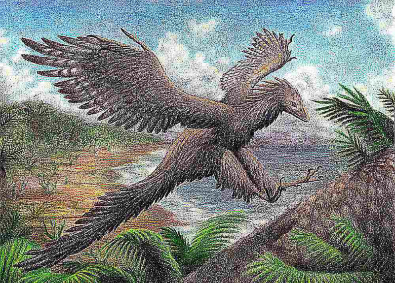 archeopteryks