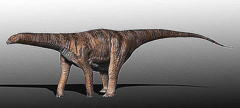 cetiozaur