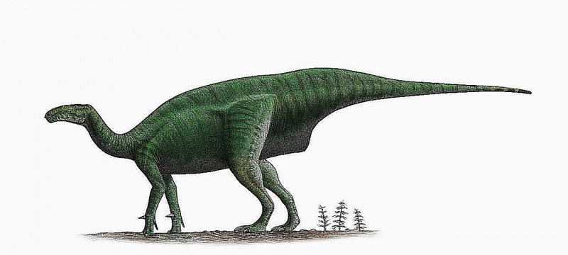 iguanodon