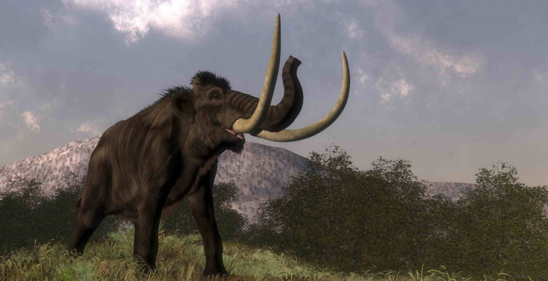 Mamut caminando en la naturaleza durante el día.