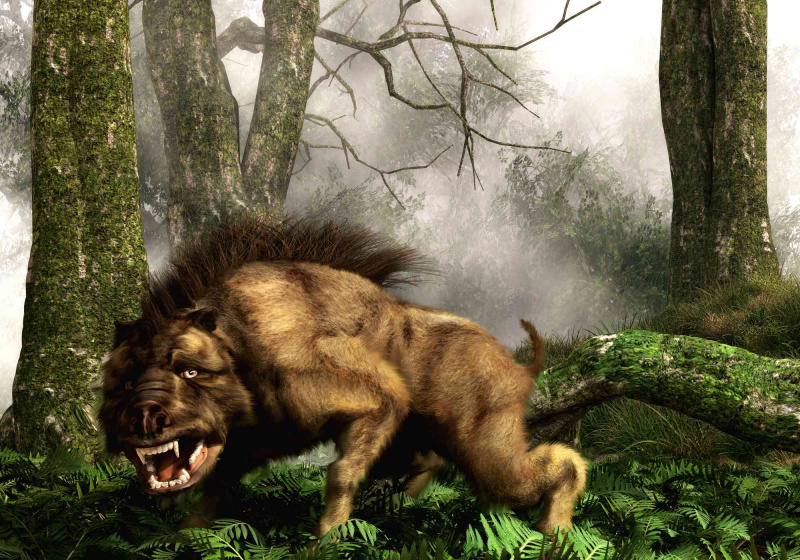 Dies ist ein Daeodon, auch bekannt als Dinohyus, ein uralter Verwandter des Wildschweins