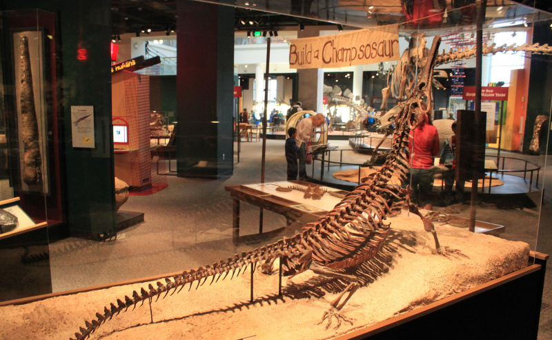 champsosaurus