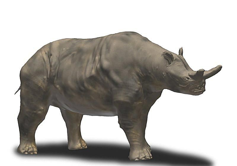brontotherium