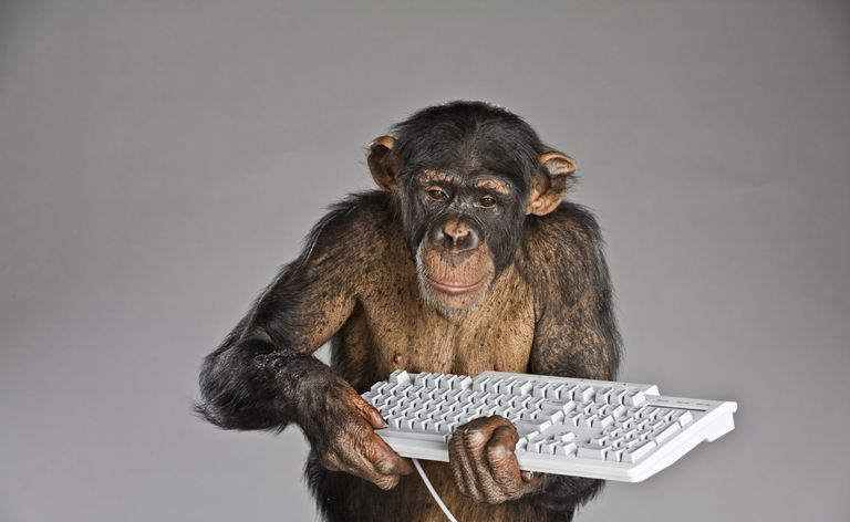 Chimpanzé segurando o teclado.
