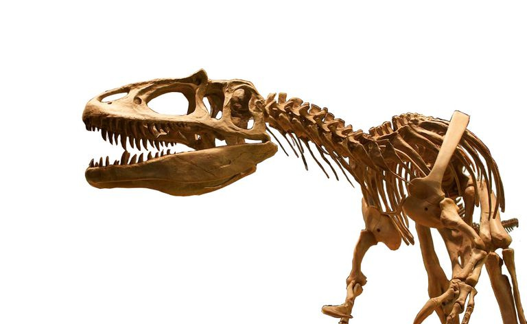 saurophaganax