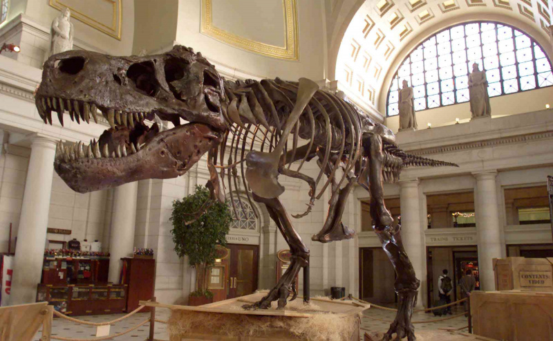 Tyranozaur Rex