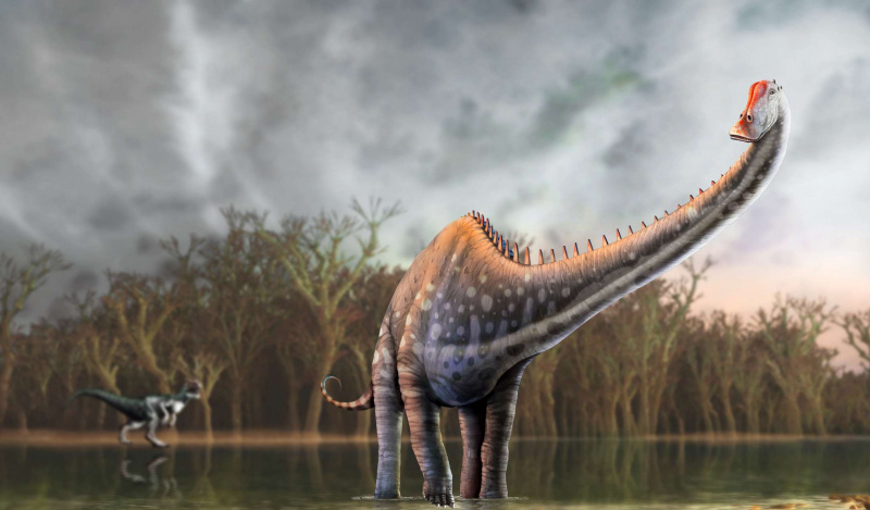 Dinozaur diplodok, ilustracja