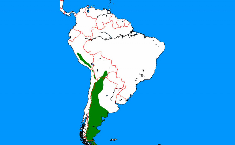 Mapa de la cordillera Guanaco