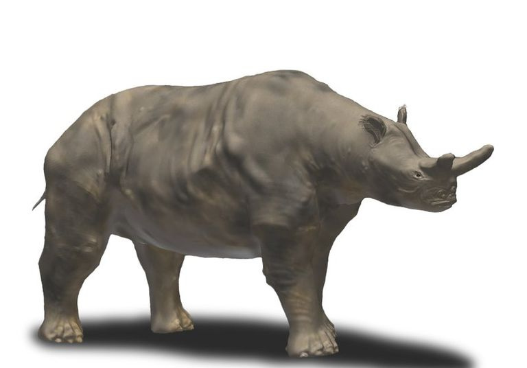 loisirs brontotherium