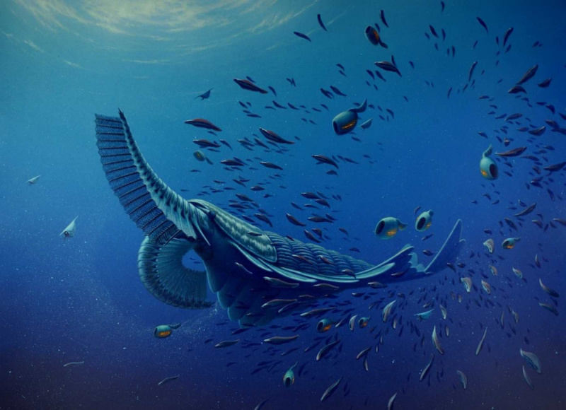 Tamiscolaris