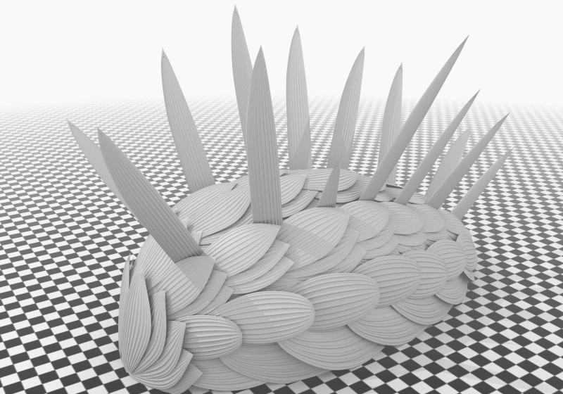 Wiwaxia