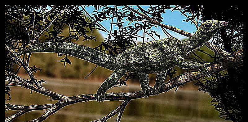 Megalancosaurus
