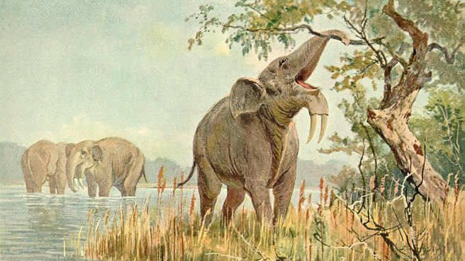 deinotherium