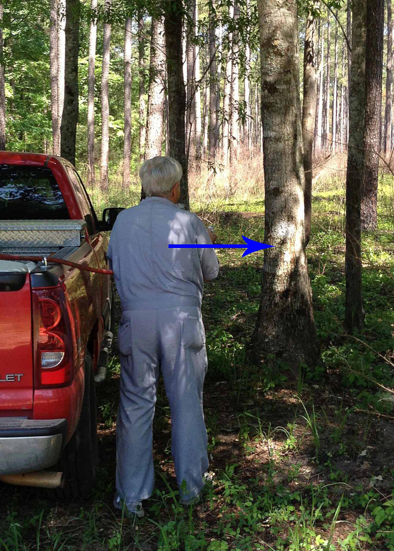 Homme appliquant un herbicide sur un tronc d