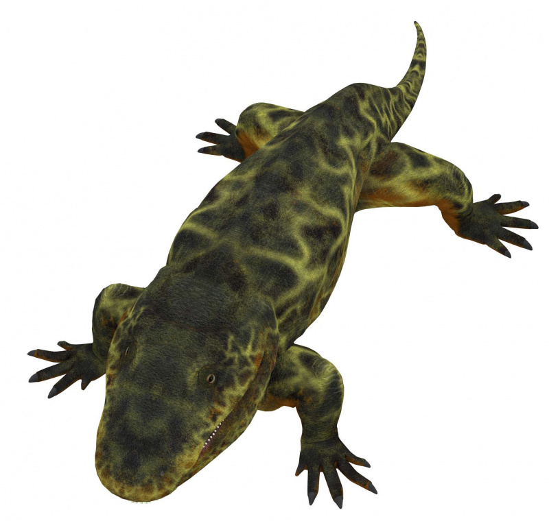 renderização de eryops