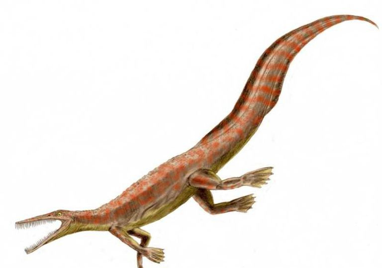 メソサウルス