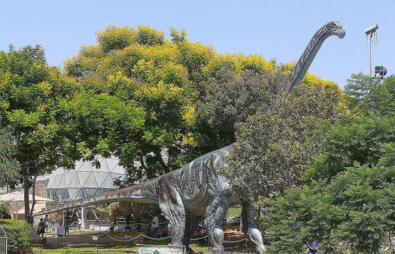 argentinozaur