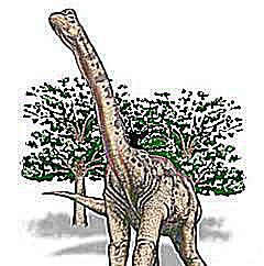 austrozaur