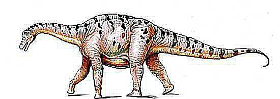 ładnysaura
