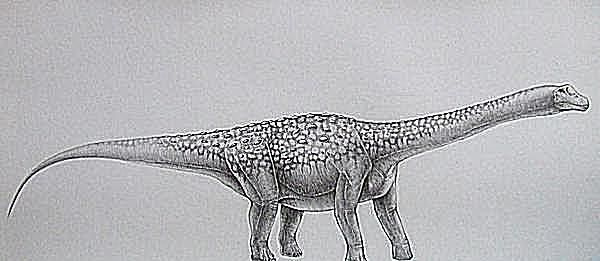 Bruhathkayosaurus