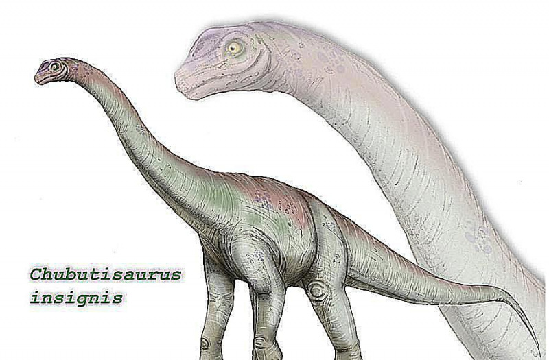 chubutizaur