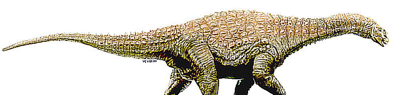 diamantinazaur