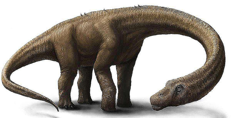 dreadnoughtus