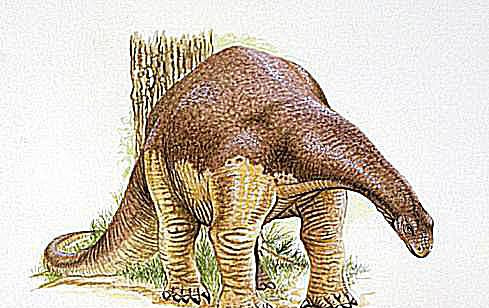 Magyarozaur